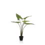 Pianta artificiale Alocasia Sanderiana MUNAY in vaso decorativo, verde, 80 cm