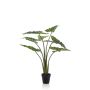 Pianta artificiale Alocasia Sanderiana MUNAY in vaso decorativo, verde, 100 cm