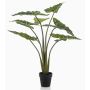 Pianta artificiale Alocasia Sanderiana MUNAY in vaso decorativo, verde, 100 cm