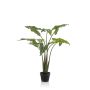 Pianta artificiale Alocasia Sanderiana MUNAY in vaso decorativo, verde, 120 cm