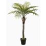 Palma da cocco artificiale BOLON, 260 cm