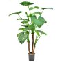 Pianta artificiale Alocasia calidora NOKJAN, verde, 120 cm