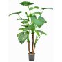 Pianta artificiale Alocasia calidora NOKJAN, verde, 120cm