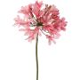 Fiore artificiale agapanthus KAFENA, rosa chiaro, 90cm, Ø20cm