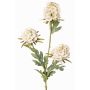 Ramo artificiale di garofano STERMYN, crema, 75cm, Ø6,5-8,5cm