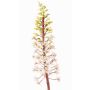 Fiore artificiale giglio verde ZERFIM, bianco-verde, 90cm
