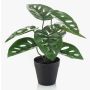 Pianta artificiale filodendro monstera adansonii PRUMEX, vaso decorativo, 28cm