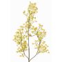 Ramo artificiale di gipsofila MURMYN, giallo-verde, 65 cm