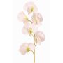 Fiore artificiale Lathyrus WAHNY, bianco-verde, 45cm, Ø5,5cm