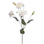 Fiore artificiale Lisianthus RENARA, bianco, 75 cm