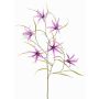 Ramo decorativo con fiori di lathyrus TYZANS, lilla, 95cm