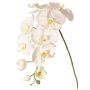 Ramo decorativo Orchidea Phalaenopsis WESA, bianco, 100 cm