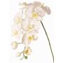 Ramo decorativo Orchidea Phalaenopsis WESA, bianco, 90cm, Ø11-12,5cm