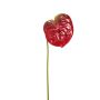 Fiore artificiale Anthurium SAMBANA, rosso-verde, 65 cm