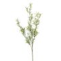 Ramo artificiale di Asparagus sprengeri SAMBENO, verde, 80cm