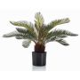 Palma cycas artificiale piccola NEREO, 55 cm