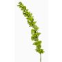 Grande fiore artificiale campanula irlandese SOTO, verde, 105 cm