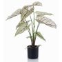 Pianta artificiale Caladium YAWAR con radici, verde-bianco, 60 cm