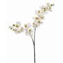 Ramo di orchidea artificiale Phalaenopsis WANTA, bianco, 100 cm