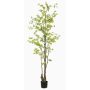 Albero artificiale nasturzio SULLA, tronco artificiale, verde, 210 cm