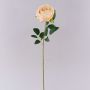 Fiore artificiale rosa CHERLEN, albicocca, 60 cm, Ø 10 cm