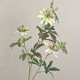 Fiore decorativo Passiflora JULANDA, bianco-viola, 100 cm, Ø 9-11 cm