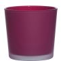 Vaso da piante in vetro ALENA FROST, magenta opaco, 11cm, Ø11,5cm