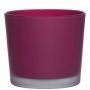 Vaso da piante in vetro ALENA FROST, magenta opaco, 12,5cm, Ø14,5cm