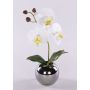 Fiore artificiale orchidea Phalaenopsis NAPIRAI, vaso, bianco, 30 cm