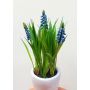 Fiore artificiale muscari NARMADA in vaso di cemento, blu, 20 cm
