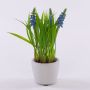 Fiore artificiale muscari NARMADA in vaso di cemento, blu, 20 cm