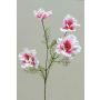 Ramo decorativo con fiori di calendula PRESTIOSA, bianco-rosa, 75 cm