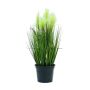 Stipa di plastica TIMEA con pannocchie, verde, 60cm