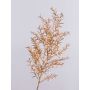 Ramo decorativo Asparagus sprengeri DENDER, dorato, 75cm