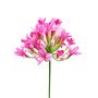 Fiore artificiale Agapanthus OMOLON, rosa, 75 cm