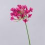 Fiore artificiale Agapanthus PHILINA, rosa, 75cm, Ø14cm