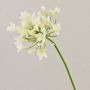 Fiore artificiale Agapanthus OMOLON, crema, 75 cm