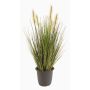 Coda di volpe finta CHAYENNE pannocchie, vaso, verde-marrone 45cm