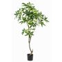 Albero artificiale di pachira CANTSA, tronco artificiale, 150 cm