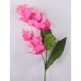 Ramo di fiori artificiali Medinilla LASENTER, rosa, 110cm