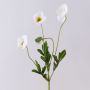 Ramo di papavero artificiale OXANDRINE, bianco crema, 60 cm
