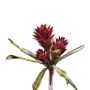 Guzmania bromelia artificiale WALFRIEDE su stelo, rosso bordeaux, 50 cm