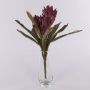Guzmania bromelia artificiale WALFRIEDE su stelo, rosso bordeaux, 50cm