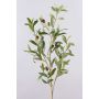 Ramo di ulivo ROVUMA con frutti, verde, 95cm