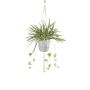 Pianta decorativa di spathiphyllum in macramè, sospesa SIMBO in vaso verde-bianco, 90 cm