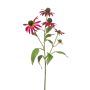 Ramo decorativo echinacea MILROV, rosa, 75 cm