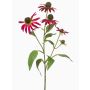 Ramo decorativo echinacea MILROV, rosa, 75 cm