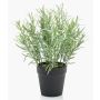 Erbe aromatiche artificiali rosmarino WHOOPI in vaso decorativo, verde, 25 cm