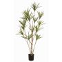 Albero artificiale Dracaena marginata SHALLU, tronchi artificiali, verde, 180 cm