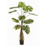 Pianta artificiale Philodendron monstera deliciosa KORVEX, radici aeree, 150cm